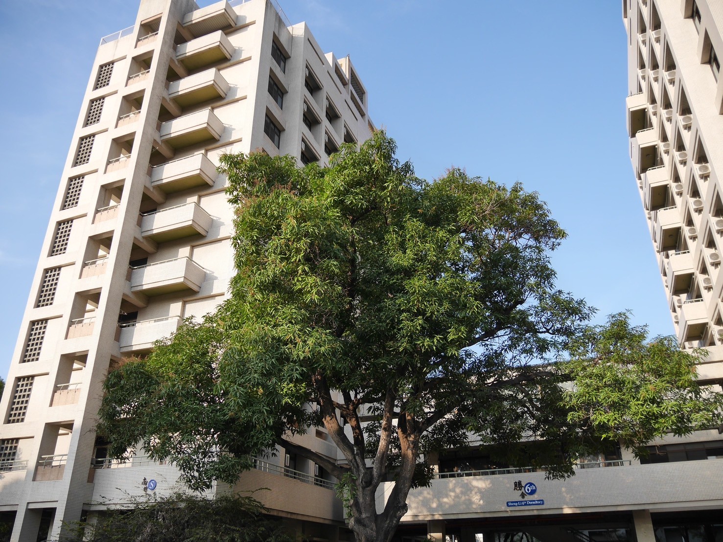 校園專區經典案例