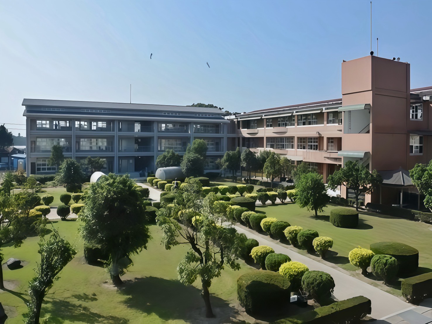 校園專區經典案例